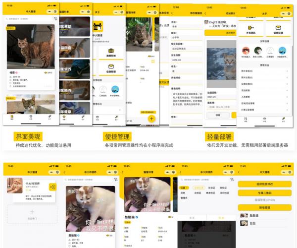 校园流浪猫信息记录和分享的小程序源码