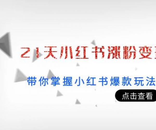 21天小红书涨粉变现营（第3期）：带你掌握小红书爆款玩法，月赚10W+秘密(2953)